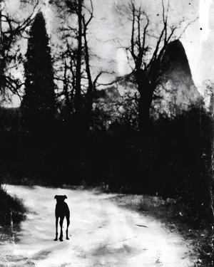 "Bring guests" art print by Koldianov