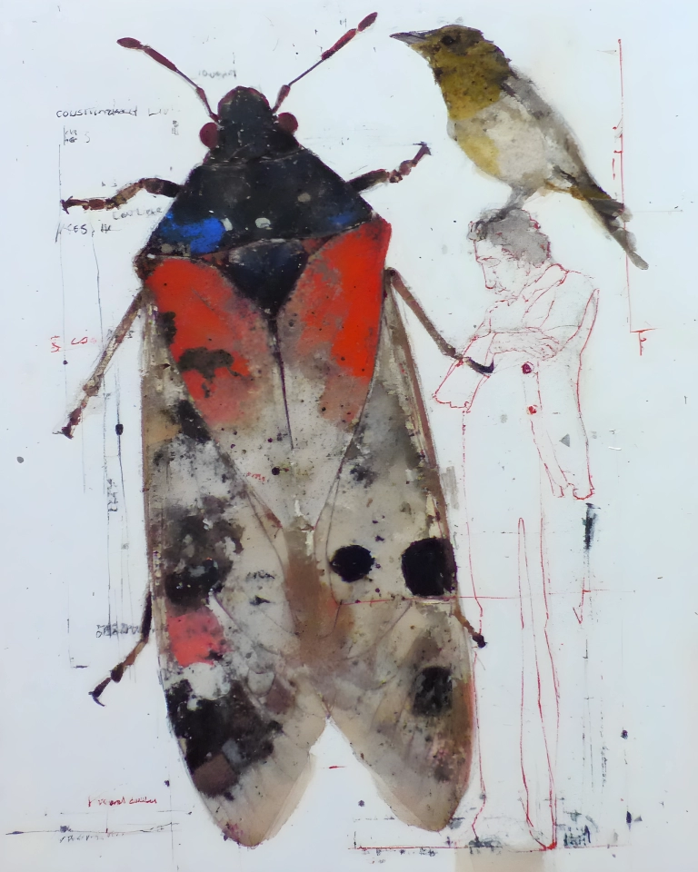 Mixed media insect and bird study with sketchy red linework and annotation-like marks on a pale background.
