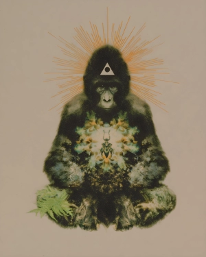 mapofyou-1773059134807