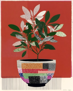 Patchwork Plant on Red