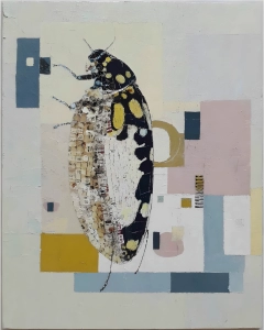 Textured collage-style beetle with black and gold spotted wings on a pale background of blue, pink, cream and mustard geometric shapes.